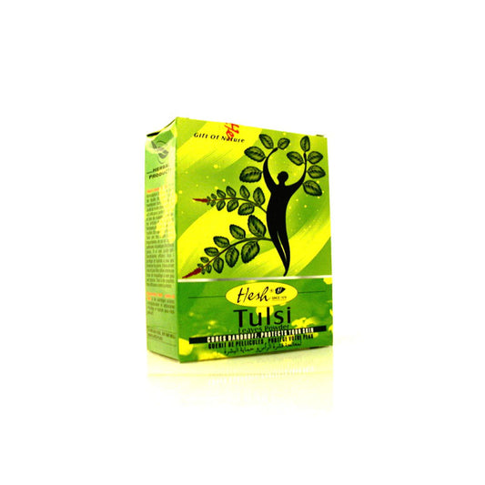 Hesh Tulsi Leaves Powder 100g